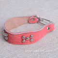 rivet polyester PU leather dog traction pet collar